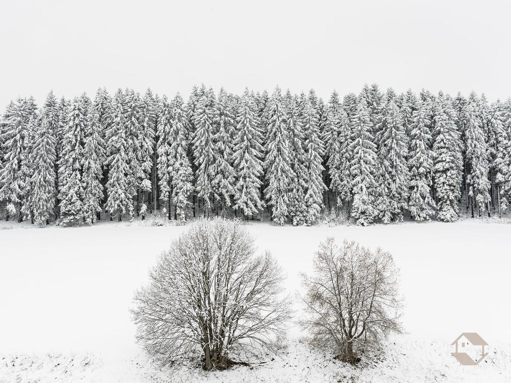 Kuckucksnest Daire Unterkirnach Oda fotoğraf