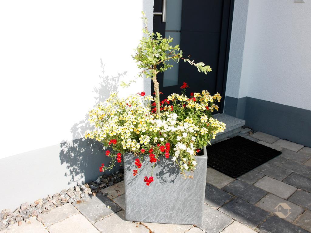 Kuckucksnest Daire Unterkirnach Oda fotoğraf